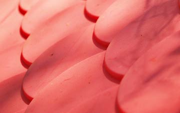 Meldon plastic roof costs