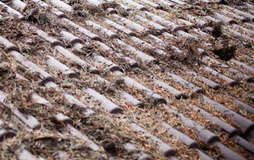 Meldon roof cleaning companies