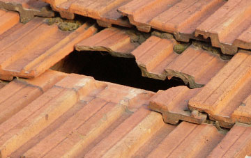 roof repair Meldon